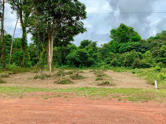 Terreno à venda, 800 m² por RS 30.000 - Zona Rural de Rio Preto da Eva - Rio Preto da Eva-AM