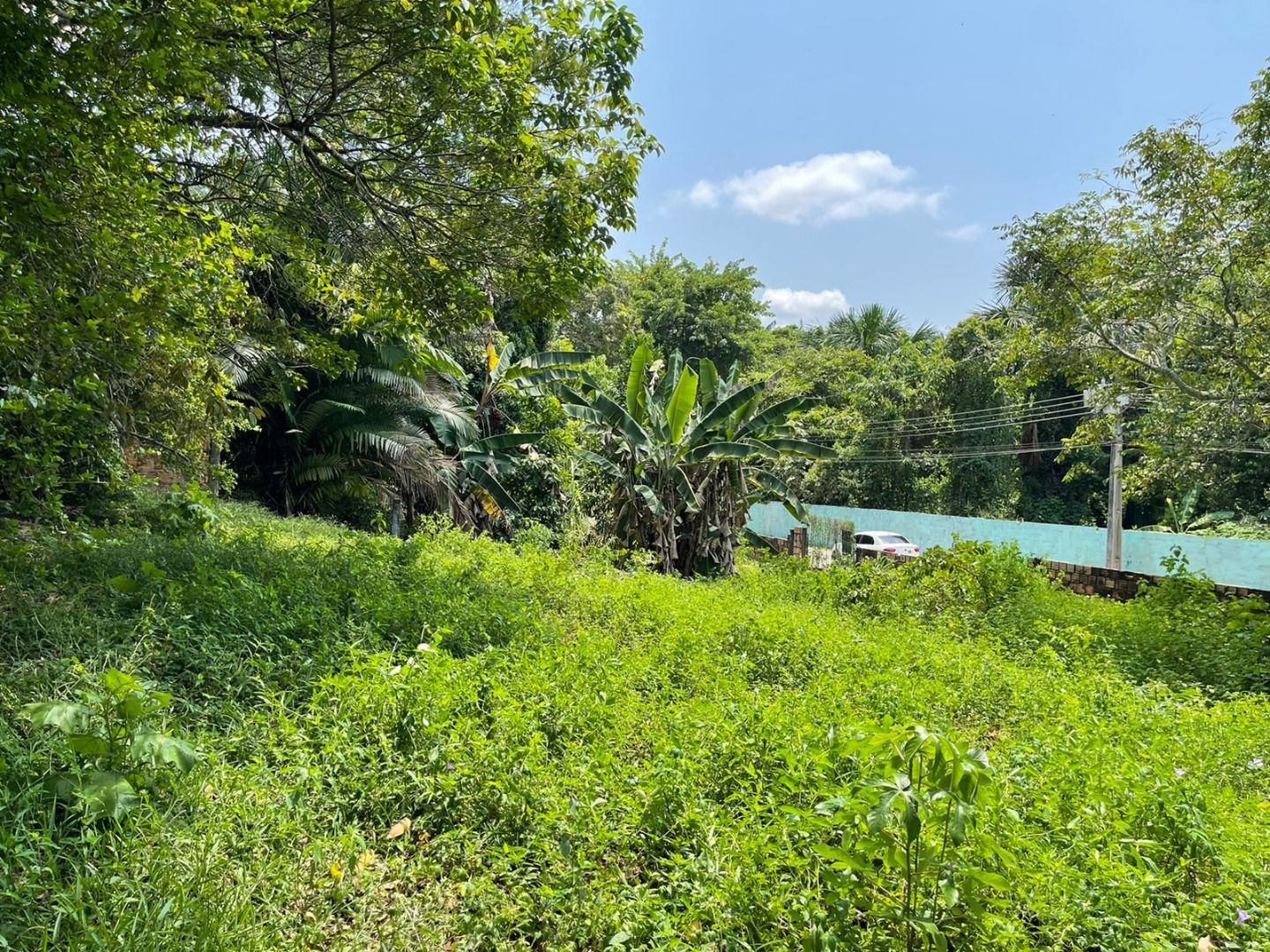 Terreno à venda, 5100 m² por RS 600.000,00 - Santa Etelvina - Manaus-AM