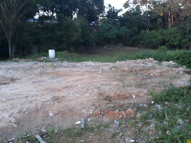 Terreno à venda, 1500 m² por RS 550.000,00 - Novo Aleixo - Manaus-AM