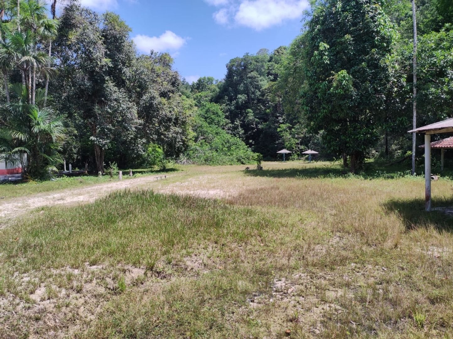 Terreno à venda, 165000 m² por RS 3.000.000,00 - Manaus-AM