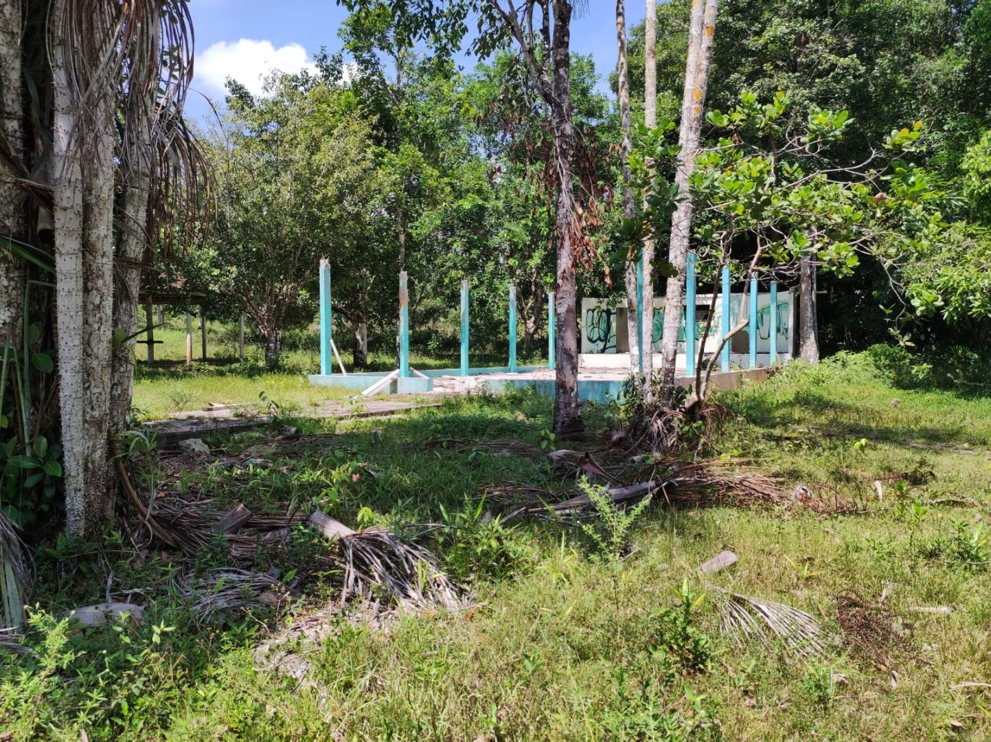Terreno à venda, 165000 m² por RS 3.000.000,00 - Manaus-AM