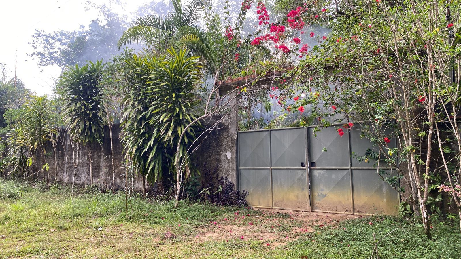 Sítio com 1 dormitório à venda, 5000 m² por RS 600.000 - Área Rural - Manaus-AM