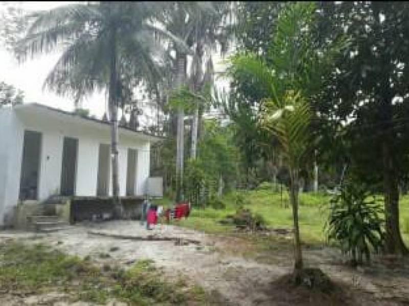 Sítio Rural à venda, Parque 10 de Novembro, Manaus - .