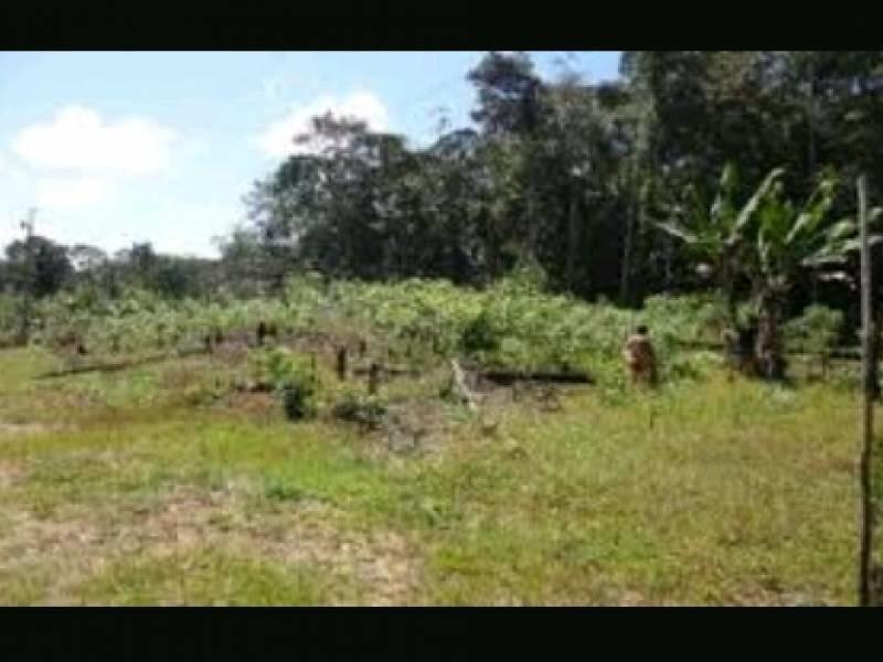 Terreno à venda, 1000 m² por RS 40.000 - Área Rural - Manaus-AM