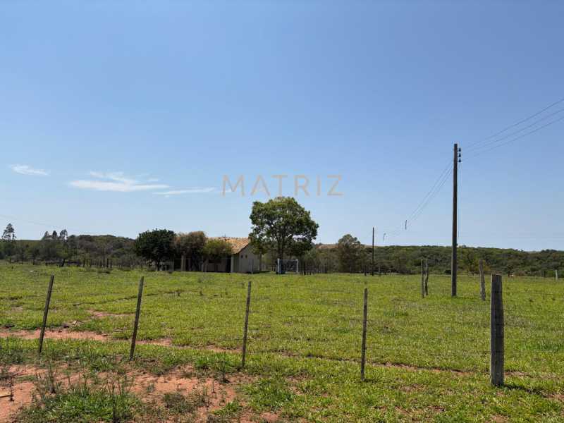 Fazenda - Foto 10