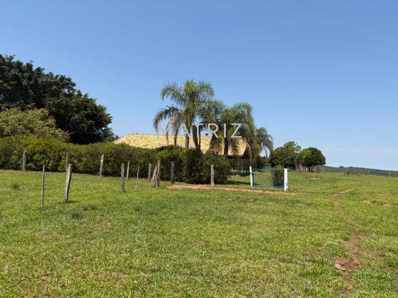 Fazenda - Foto 11