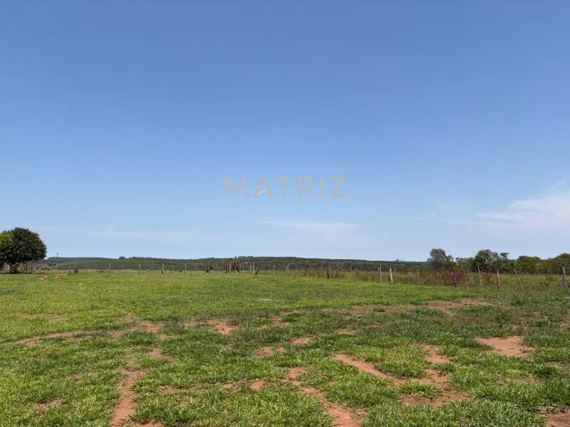 Fazenda - Foto 12
