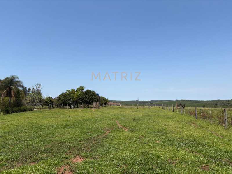 Fazenda - Foto 15
