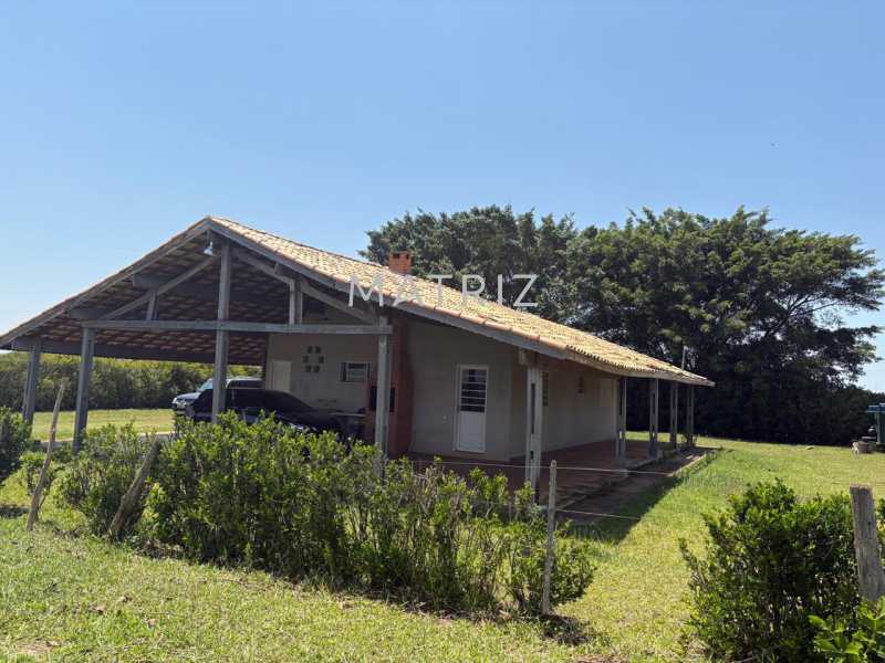 Fazenda - Foto 17
