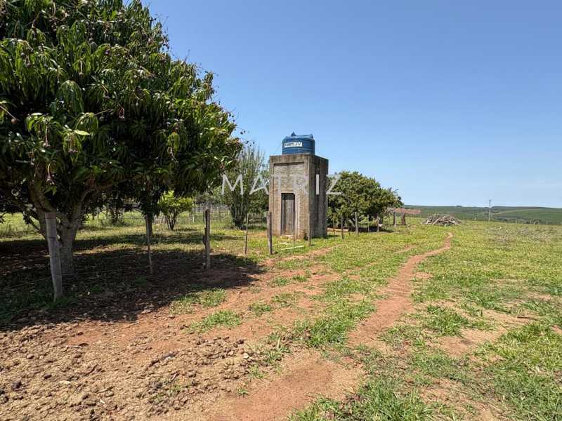 Fazenda - Foto 18
