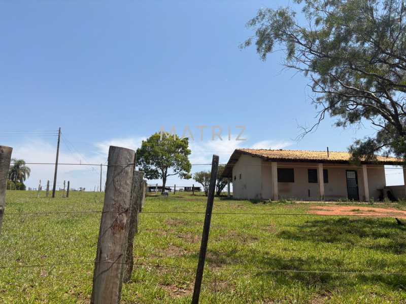 Fazenda - Foto 20