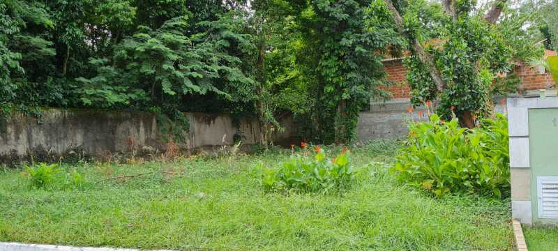 Terreno à venda, 600 - Foto 6