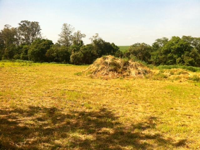 Terreno à venda - Foto 1