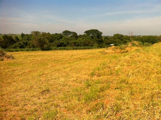 Terreno à venda - Foto 4