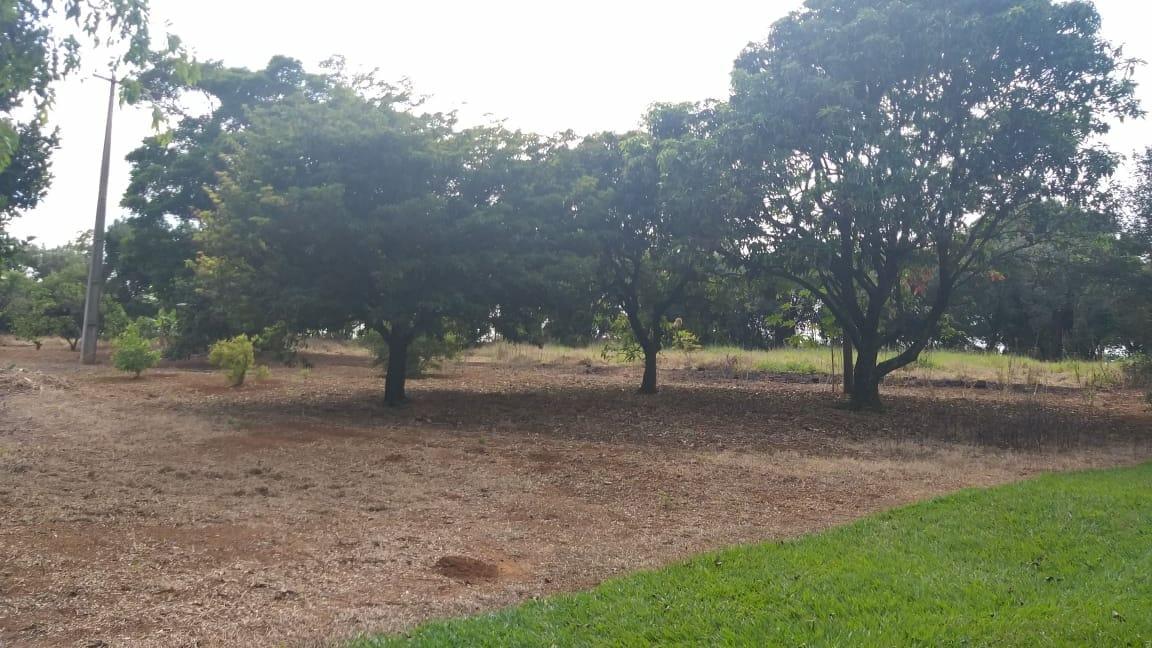 Chácara à venda com 1 quarto, 100m² - Foto 10