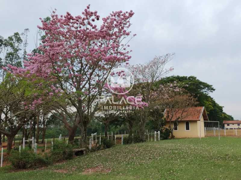 Fazenda à venda com 4 quartos, 919600m² - Foto 4