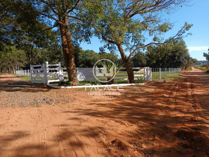 Fazenda à venda com 4 quartos, 919600m² - Foto 5