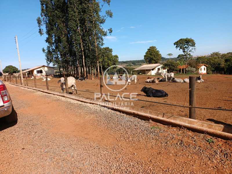 Fazenda à venda com 4 quartos, 919600m² - Foto 26