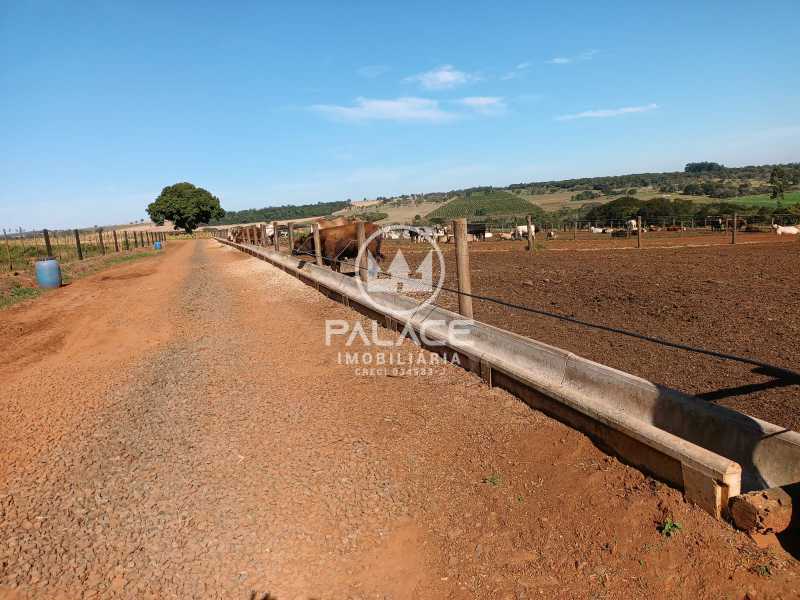 Fazenda à venda com 4 quartos, 919600m² - Foto 27