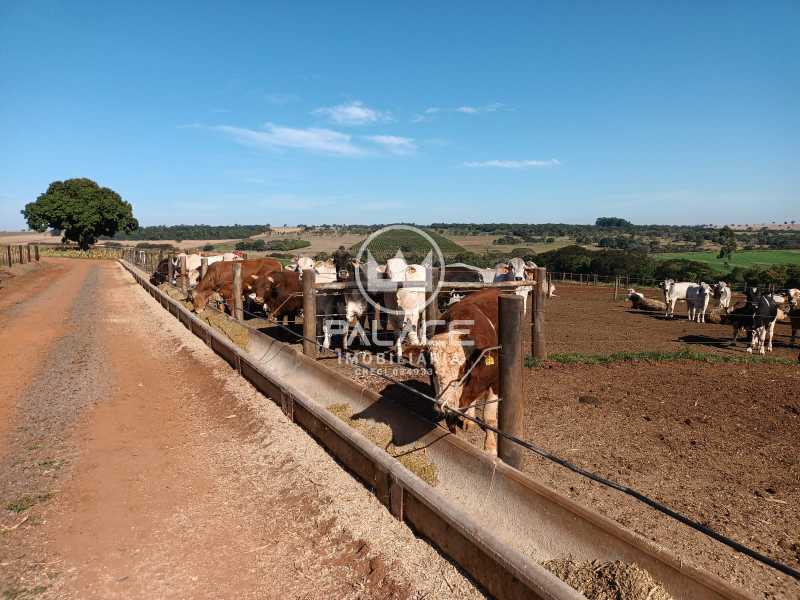 Fazenda à venda com 4 quartos, 919600m² - Foto 28