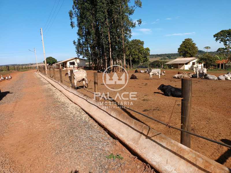 Fazenda à venda com 4 quartos, 919600m² - Foto 29