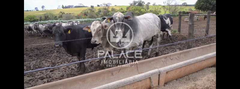 Fazenda à venda com 4 quartos, 919600m² - Foto 30