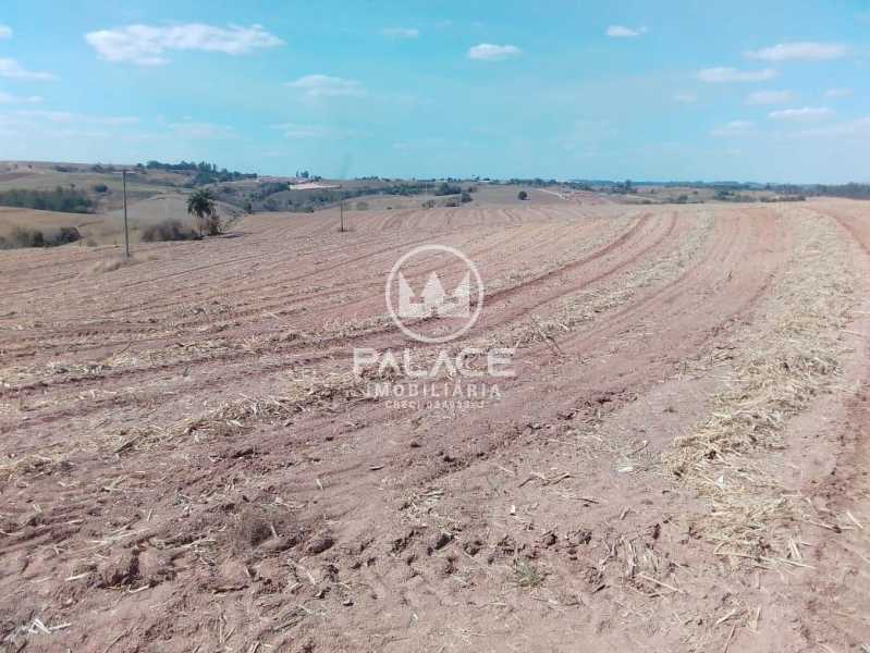 Fazenda à venda, 1064 - Foto 6