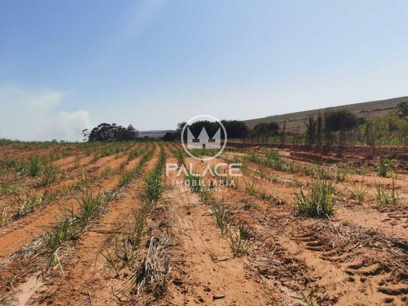 Fazenda-Sítio-Chácara, 94 hectares - Foto 2