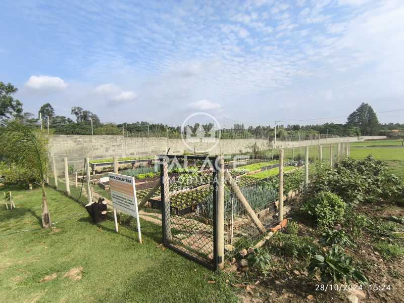 Terreno à venda, 360 - Foto 3