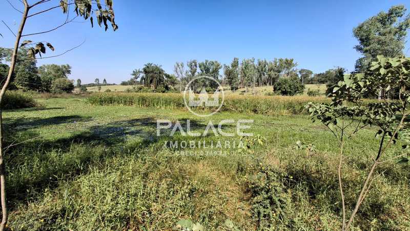 Sítio, 4 quartos, 1500 m² - Foto 2