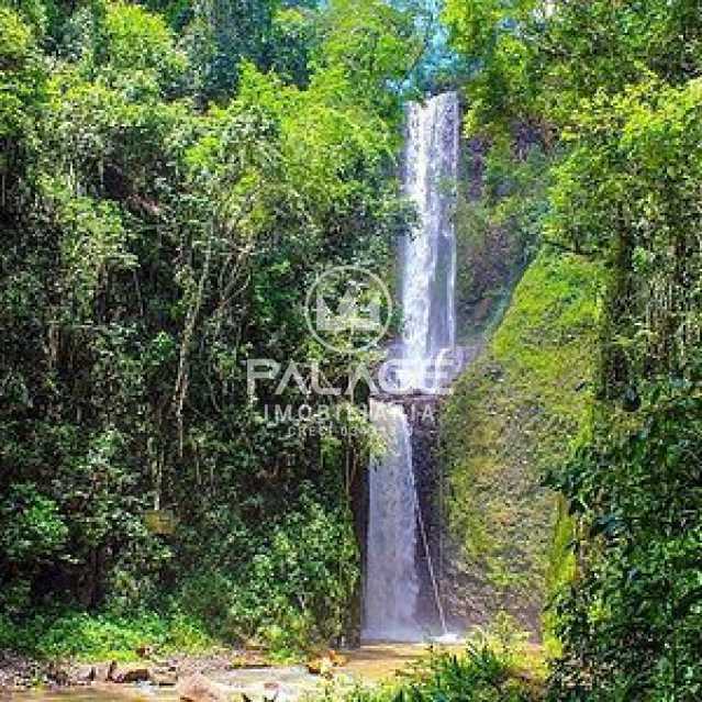 Terreno à venda, 1000 - Foto 7