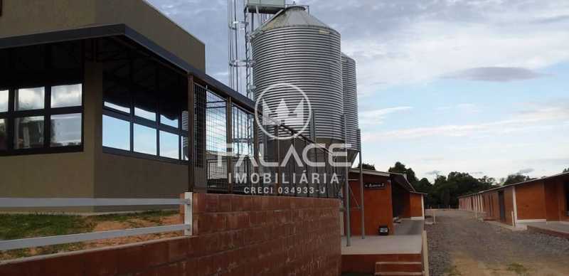 Fazenda-Sítio-Chácara, 6 hectares - Foto 12