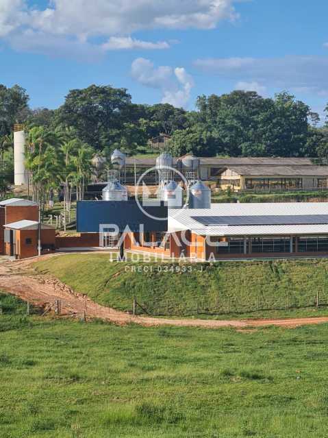 Fazenda-Sítio-Chácara, 6 hectares - Foto 16