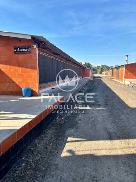 Fazenda-Sítio-Chácara, 6 hectares - Foto 19