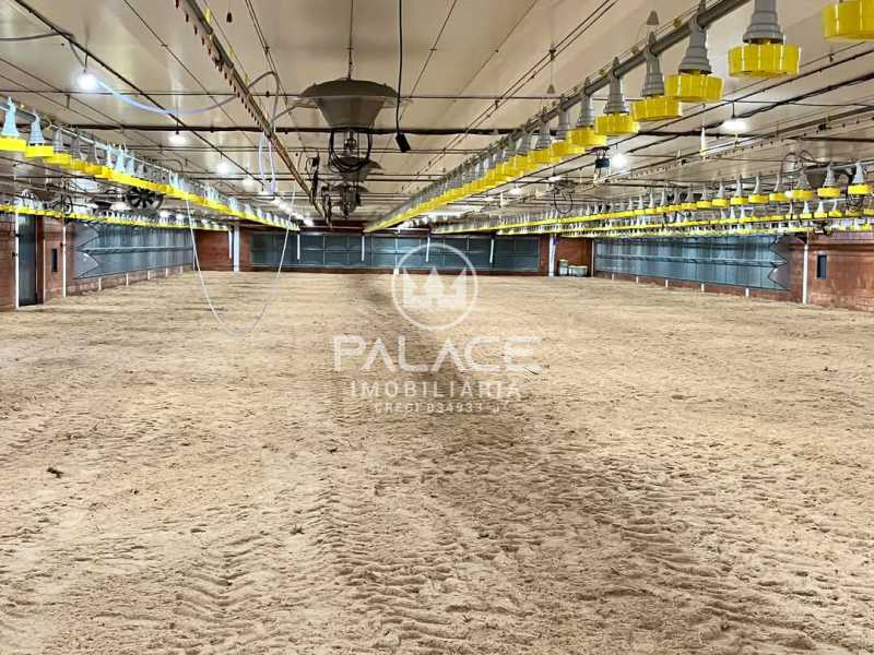 Fazenda-Sítio-Chácara, 6 hectares - Foto 17