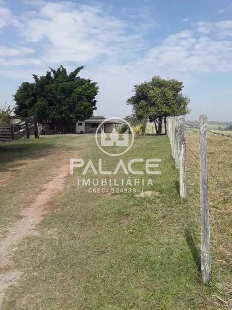 Sítio à venda com 2 quartos, 181500m² - Foto 7