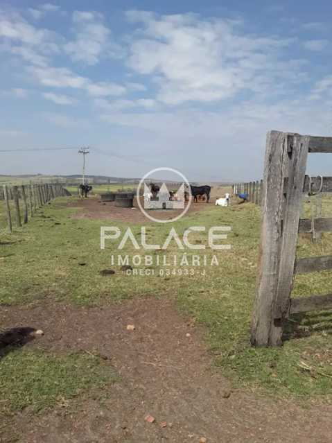 Sítio à venda com 2 quartos, 181500m² - Foto 10