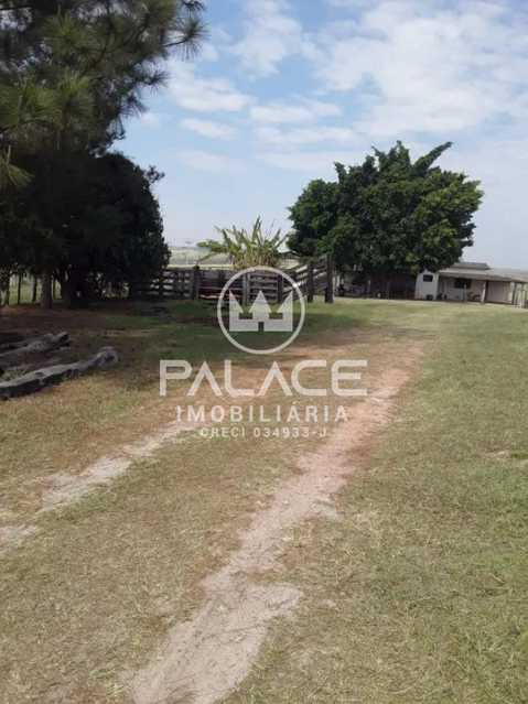 Sítio à venda com 2 quartos, 181500m² - Foto 11