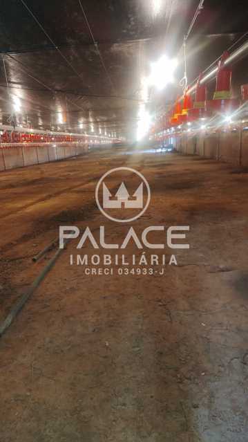 Fazenda à venda com 4 quartos, 54000m² - Foto 6