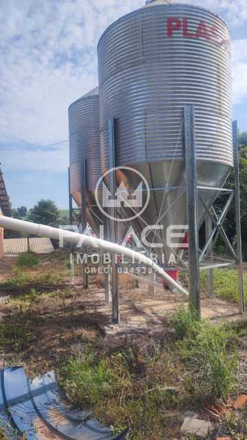 Fazenda à venda com 4 quartos, 54000m² - Foto 7