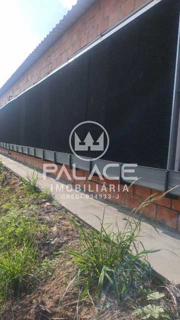 Fazenda à venda com 4 quartos, 54000m² - Foto 10