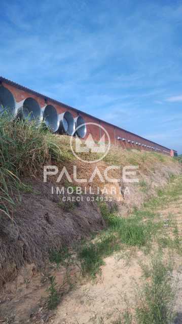 Fazenda à venda com 4 quartos, 54000m² - Foto 12