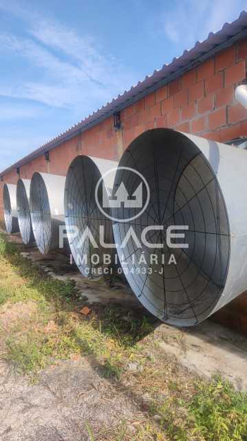 Fazenda à venda com 4 quartos, 54000m² - Foto 19