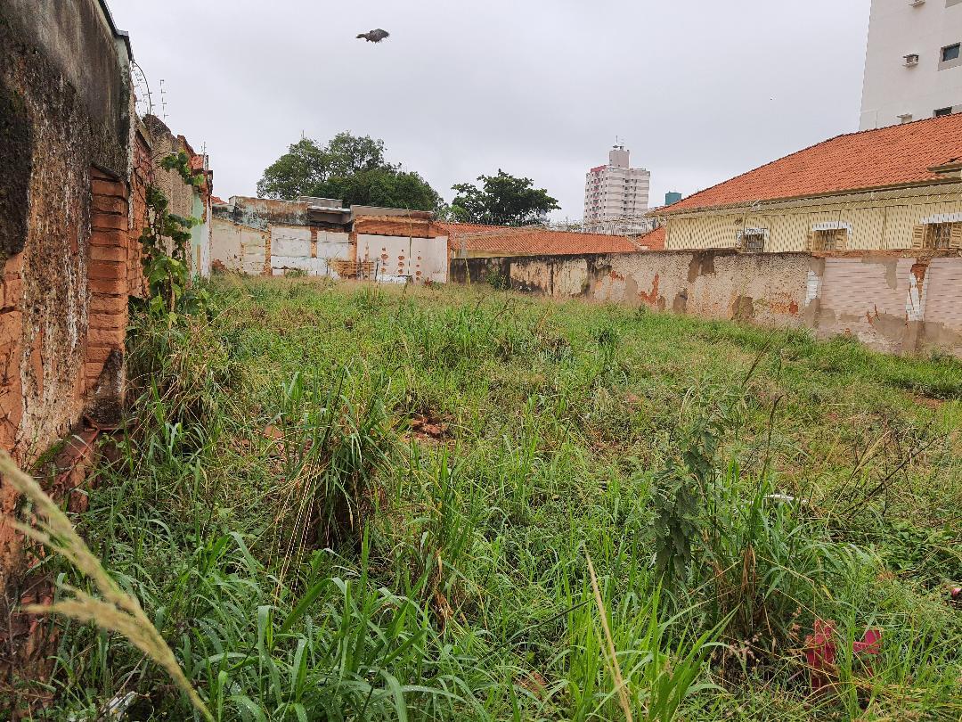 Terreno à venda e aluguel, 571 - Foto 1