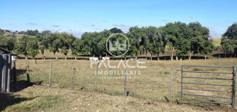 Sítio à venda com 6 quartos, 108900m² - Foto 29