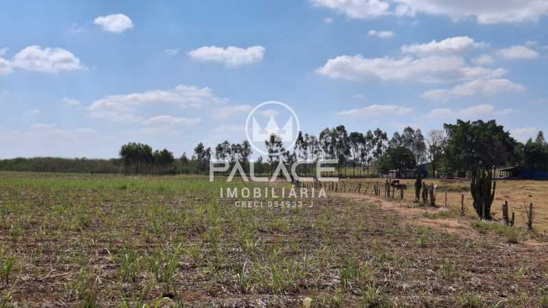 Chácara, 5 quartos, 5 hectares - Foto 23