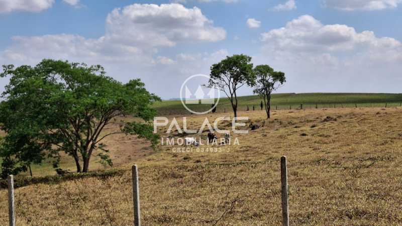 Chácara, 5 quartos, 5 hectares - Foto 25