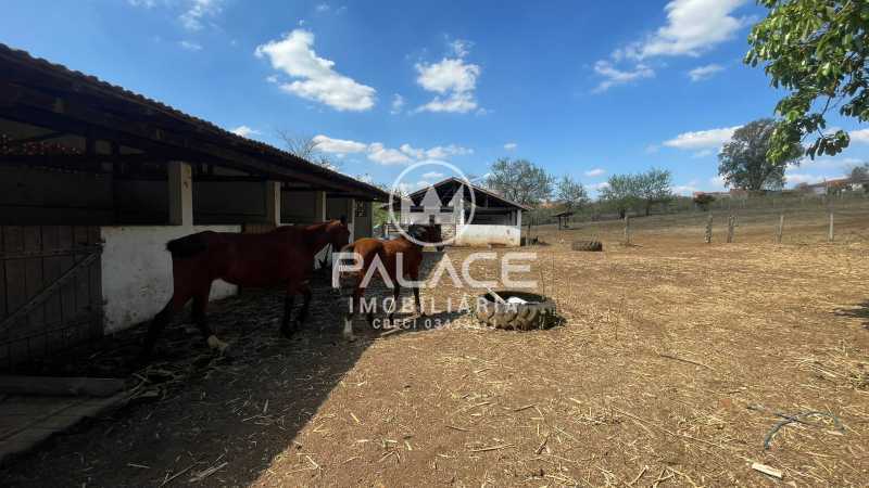 Sítio, 4 quartos, 17 hectares - Foto 11