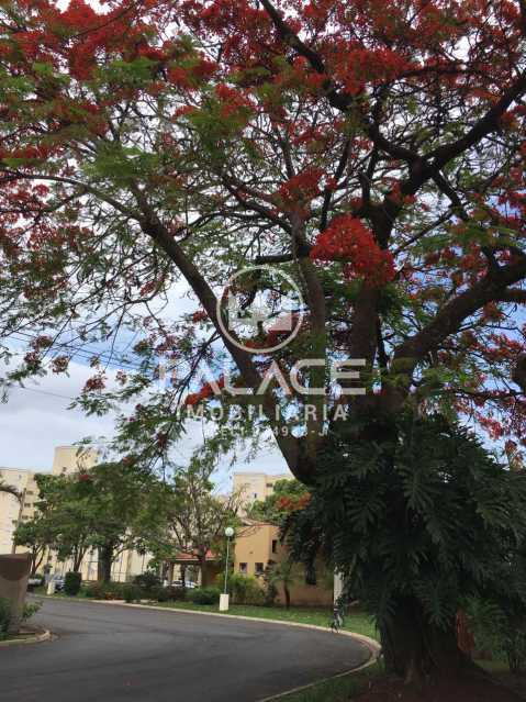 Apartamento à venda com 2 quartos, 55m² - Foto 11