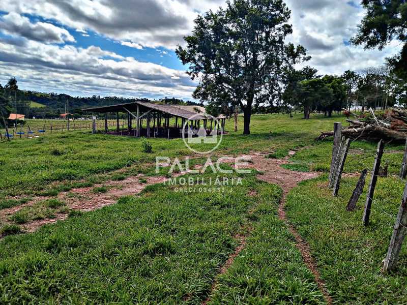 Sítio à venda com 3 quartos, 169400m² - Foto 6